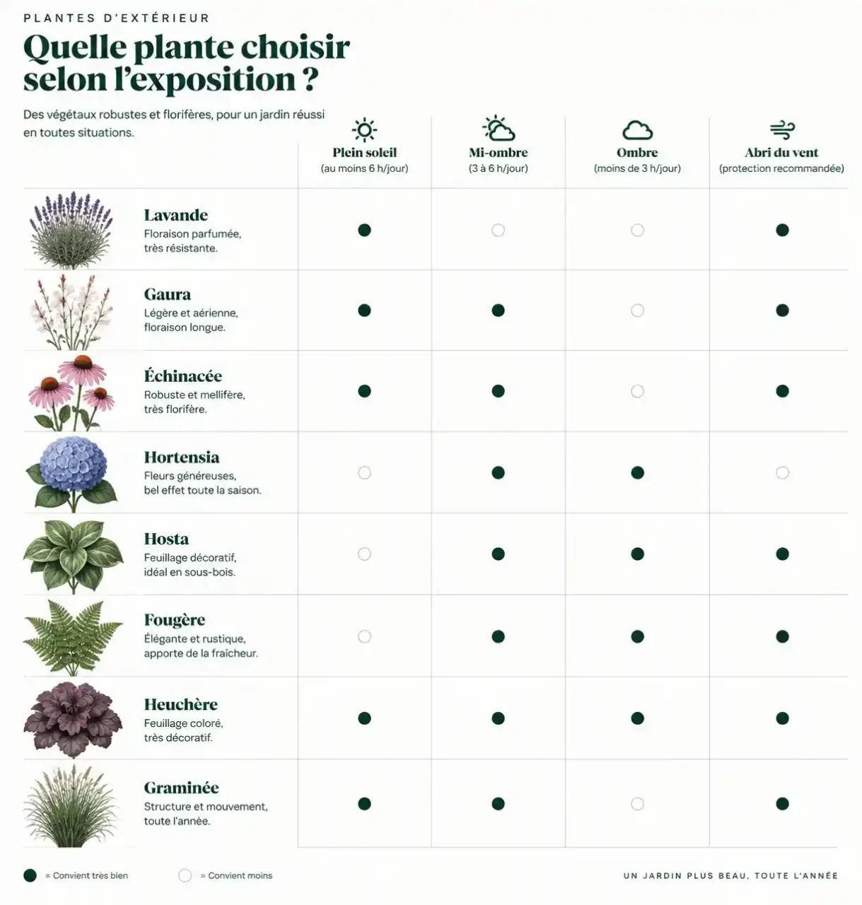 Plante d'ornement extérieur : quelles espèces choisir selon l'exposition, du plein soleil à l'ombre