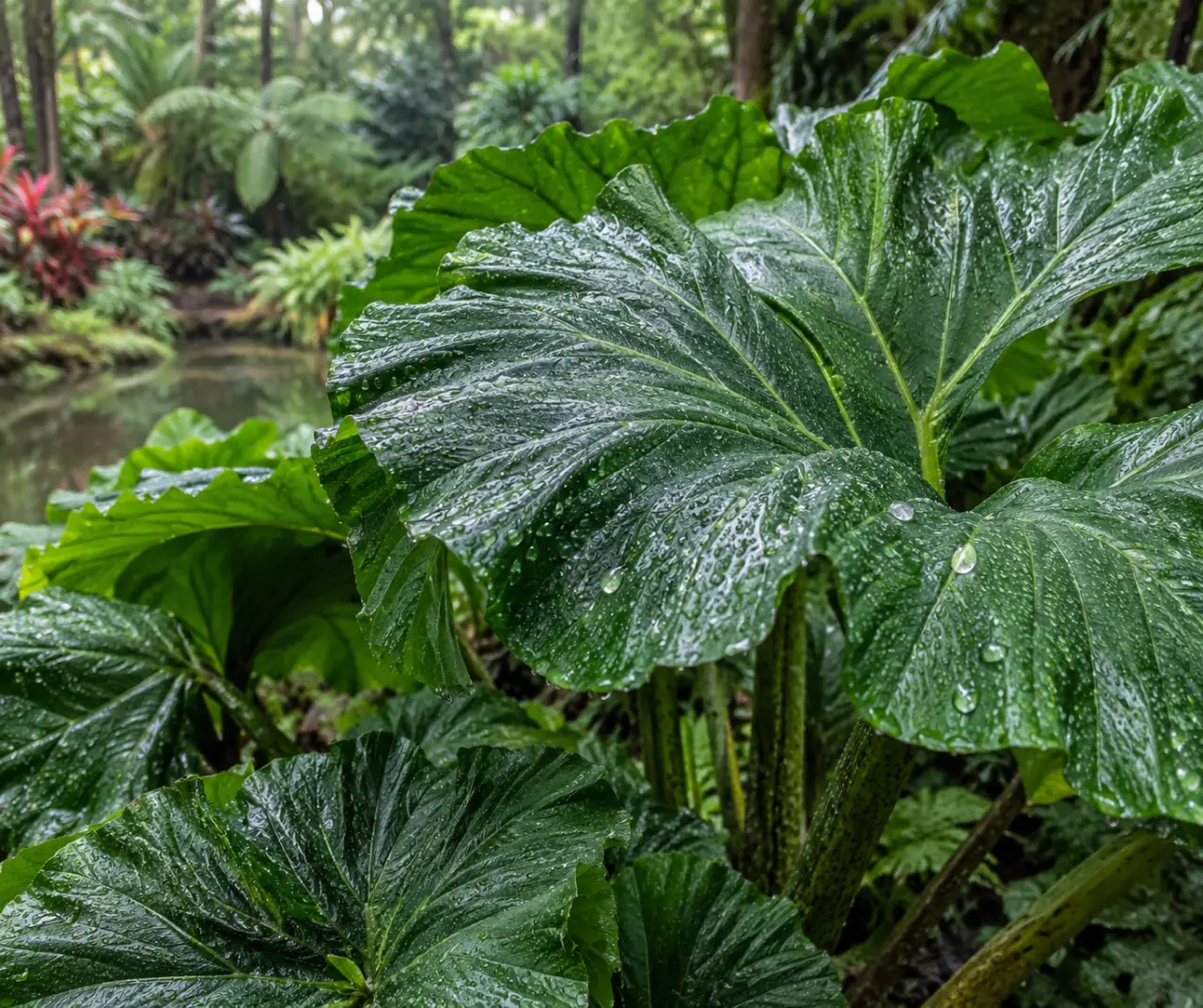 Quelle plante à grosse feuille choisir pour un jardin exotique, ombragé ou humide&nbsp;?